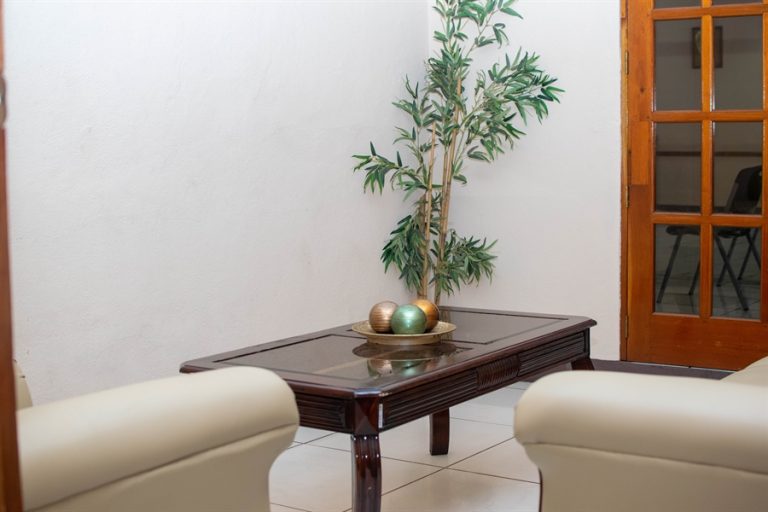 Sala de espera con sofás claros y planta natural para acompañantes en El Alba